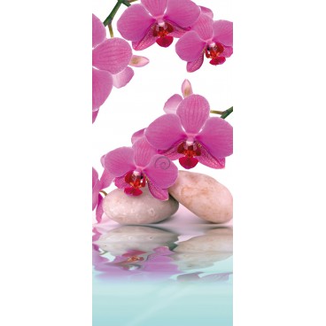 Dverová fototapeta - DV0150 - Ružové kvety