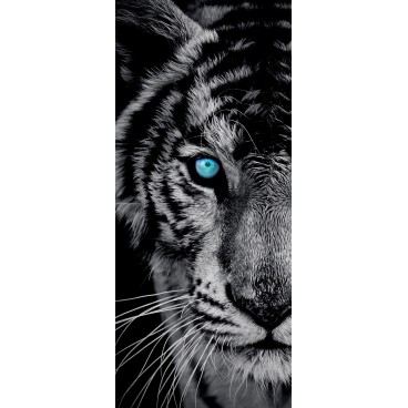 Dverová fototapeta - DV0066 - Čiernobiely tiger