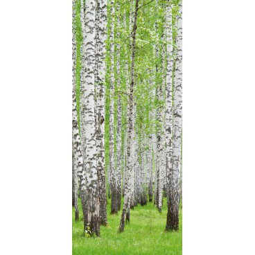 Dverová fototapeta - DV0071 - Stromy