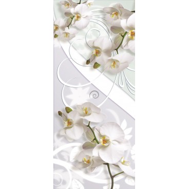 Dverová fototapeta - FT2997 - Biele orchidea