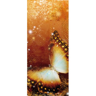 Dverová fototapeta - DV0080 - Oranžový motýľ