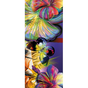 Dverová fototapeta - DV0081 - Farebné motýle