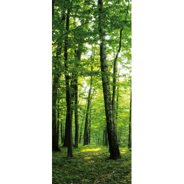 Dverová fototapeta - DV0088 - Zelené stromy