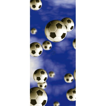 Dverová fototapeta - DV0089 - Futbalové lopty