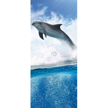 Dverová fototapeta - DV0090 - Delfíny