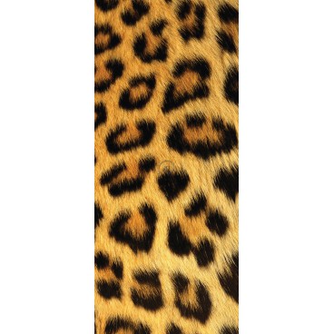 Dverová fototapeta - DV0093 - Leopardia