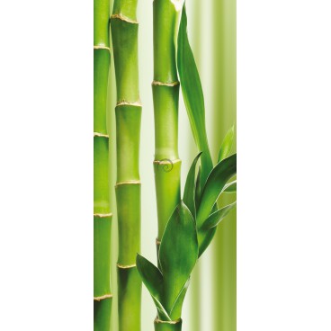 Dverová fototapeta - DV0161 - Bambus