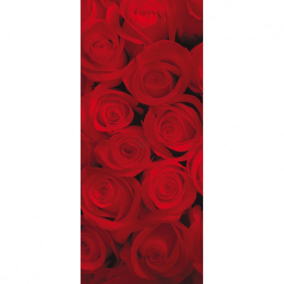 Dverová fototapeta - DV0120 - Červené ruže