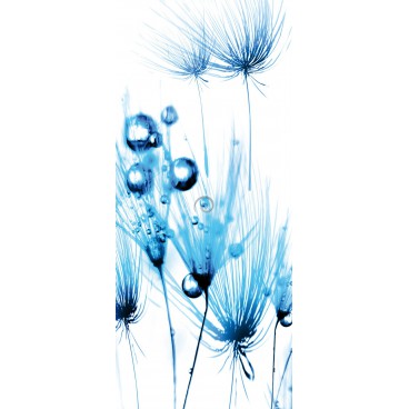 Dverová fototapeta - DV0128 - Modré kvety