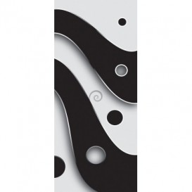 Dverová fototapeta - FT3484 - Čiernobiele krivky