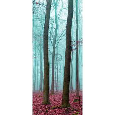 Dverová fototapeta - FT3497 - Zahmlený les