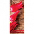 Dverová fototapeta - DV0136 - Tulipány