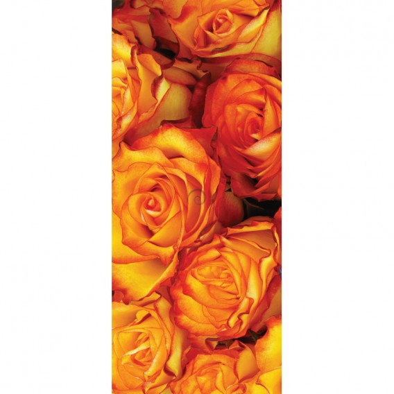 Dverová fototapeta - DV0656 - Oranžové ruže