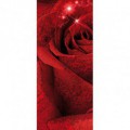 Dverová fototapeta - DV0171 - Červená ruža