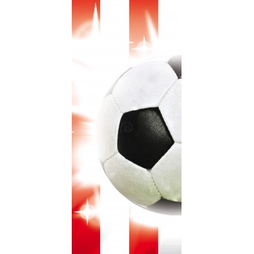 Dverová fototapeta - DV0195 - Futbalová lopta