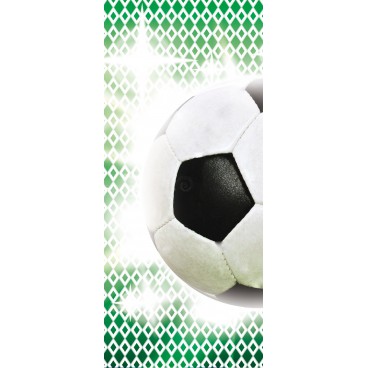 Dverová fototapeta - DV0200 - Futbalová lopta