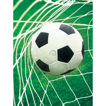 Fototapeta panel - PL0004 - Futbalová lopta