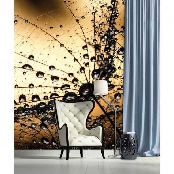 Fototapeta panel - PL0014 - Rosa na kvete