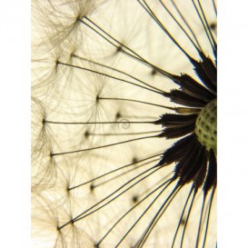 Fototapeta panel - PL0026 - Púpava