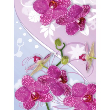 Fototapeta panel - PL0060 - Ružová orchidea