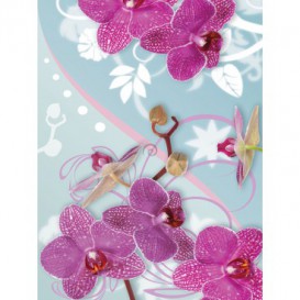 Fototapeta panel - PL0061 - Ružová orchidea