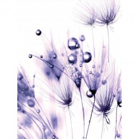 Fototapeta panel - PL0080 - Fialové kvety