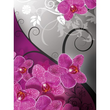 Fototapeta panel - PL0103 - Ružová orchidea