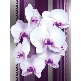 Fototapeta panel - PL0106 - Biele kvety na ružovom pozadí