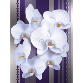 Fototapeta panel - PL0107 - Biele kvety na fialovom pozadí