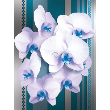 Fototapeta panel - PL0108 - Biele kvety na modrom pozadí
