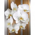 Fototapeta panel - PL0109 - Biele kvety na oranžovom pozadí