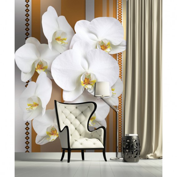 Fototapeta panel - PL0109 - Biele kvety na oranžovom pozadí