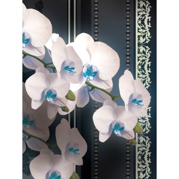 Fototapeta panel - PL0118 - Biele kvety
