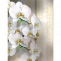 Fototapeta panel - PL0126 - Biele kvety