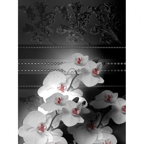 Fototapeta panel - PL0137 - Biele kvety na čiernom pozadí