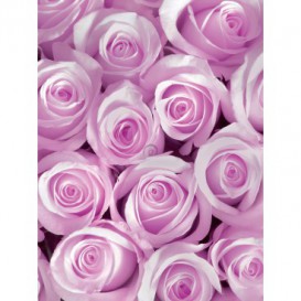 Fototapeta panel - PL0159 - Ružové ruže