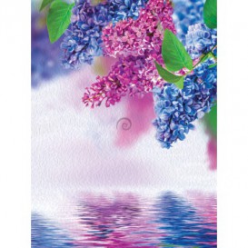 Fototapeta panel - PL0194 - Orgován