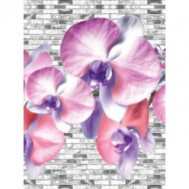 Fototapeta panel - PL0214 - Bielo ružové kvety