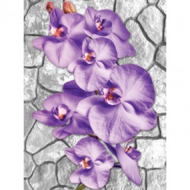 Fototapeta panel - PL0216 - Fialové kvety
