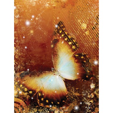Fototapeta panel - PL0259 - Oranžový motýľ