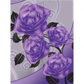 Fototapeta panel - PL0268 - Fialové ruže