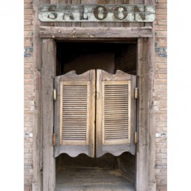 Fototapeta panel - PL0302 - Visiace dvere salónu