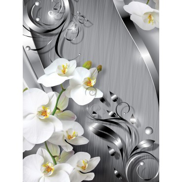Fototapeta panel - PL0314 - Orchidea na sivom pozadí