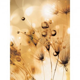 Fototapeta panel - PL0319 - Suchá tráva - oranžový efekt