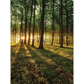 Fototapeta panel - PL0335 - Les