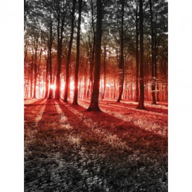 Fototapeta panel - PL0337 - Les