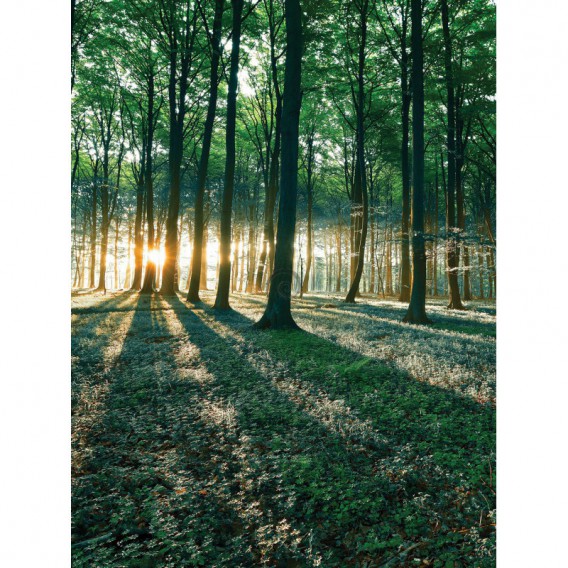 Fototapeta panel - PL0338 - Les