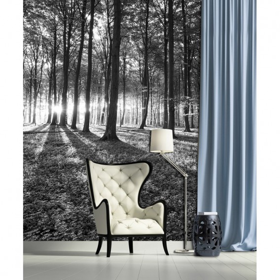 Fototapeta panel - PL0339 - Les - čiernobiely