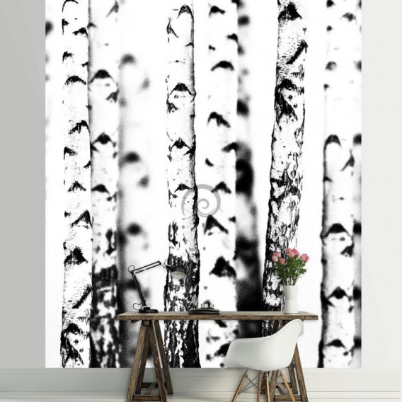 Fototapeta panel - PL0342 - Brezový háj - čierno biely efekt