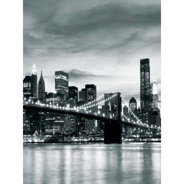 Fototapeta panel - PL0370 - Čiernobiely New York